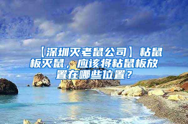 【深圳滅老鼠公司】粘鼠板滅鼠，應(yīng)該將粘鼠板放置在哪些位置？