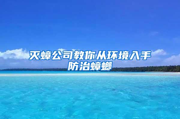 滅蟑公司教你從環境入手防治蟑螂