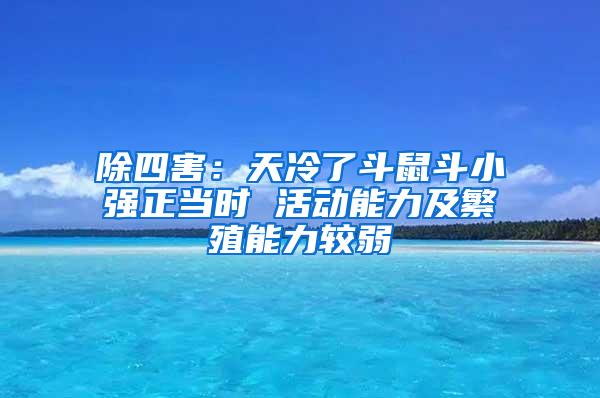 除四害：天冷了斗鼠斗小強正當時 活動能力及繁殖能力較弱