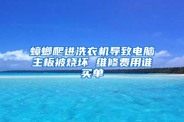 蟑螂爬進洗衣機導致電腦主板被燒壞 維修費用誰買單