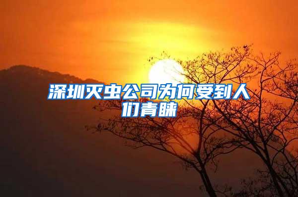 深圳滅蟲公司為何受到人們青睞