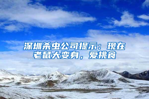 深圳殺蟲公司提示：現在老鼠大變身，愛挑食