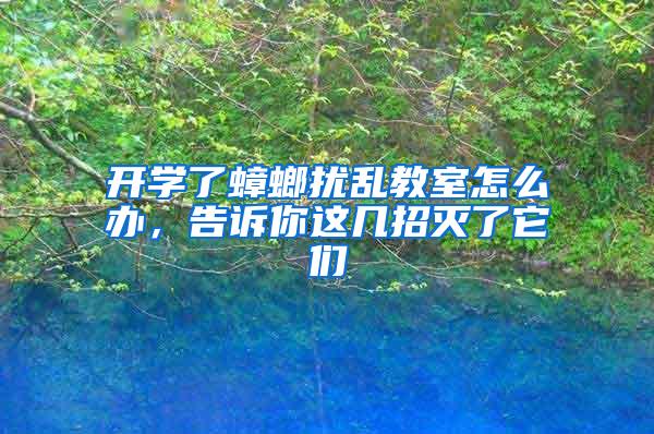 開學了蟑螂擾亂教室怎么辦，告訴你這幾招滅了它們