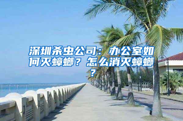 深圳殺蟲公司：辦公室如何滅蟑螂？怎么消滅蟑螂？