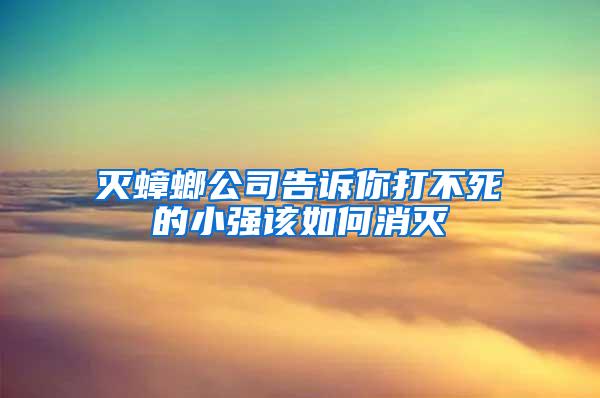 滅蟑螂公司告訴你打不死的小強該如何消滅