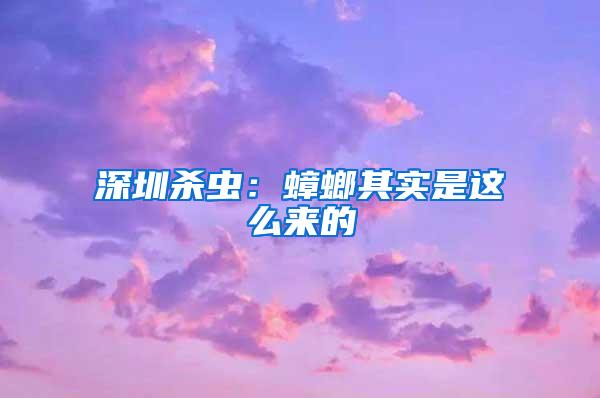 深圳殺蟲：蟑螂其實是這么來的