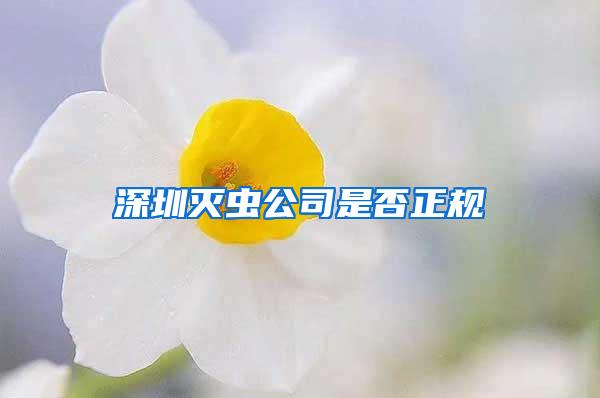 深圳滅蟲公司是否正規