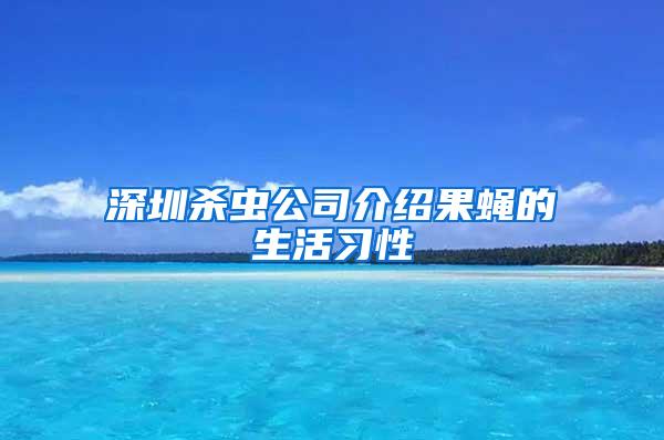 深圳殺蟲公司介紹果蠅的生活習性