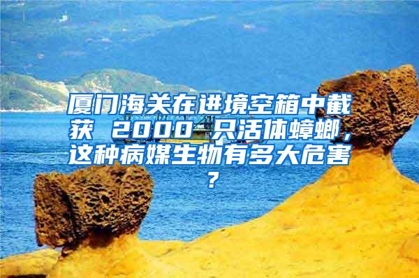 廈門(mén)海關(guān)在進(jìn)境空箱中截獲 2000 只活體蟑螂，這種病媒生物有多大危害？