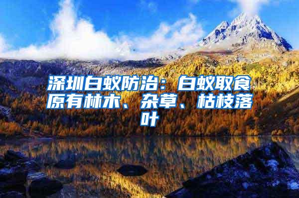 深圳白蟻防治：白蟻取食原有林木、雜草、枯枝落葉