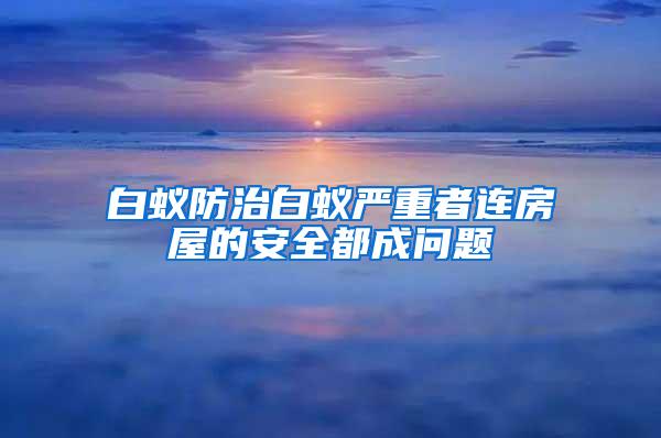 白蟻防治白蟻嚴(yán)重者連房屋的安全都成問(wèn)題