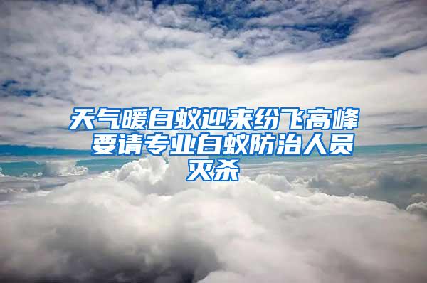 天氣暖白蟻迎來(lái)紛飛高峰 要請(qǐng)專(zhuān)業(yè)白蟻防治人員滅殺