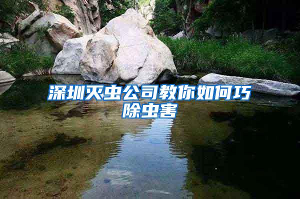 深圳滅蟲公司教你如何巧除蟲害