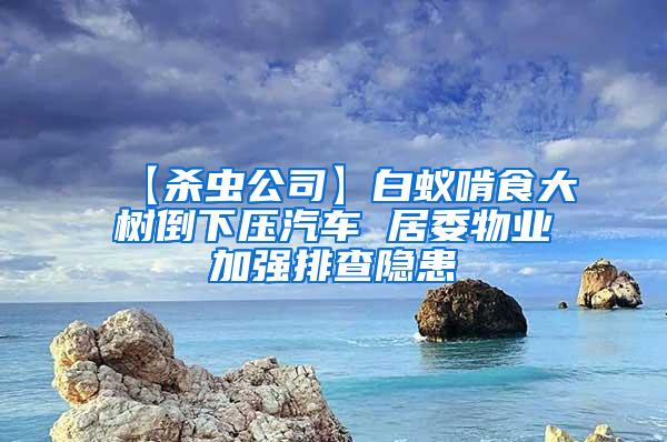 【殺蟲公司】白蟻啃食大樹倒下壓汽車 居委物業加強排查隱患