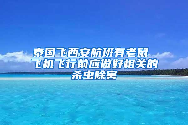 泰國飛西安航班有老鼠 飛機飛行前應(yīng)做好相關(guān)的殺蟲除害