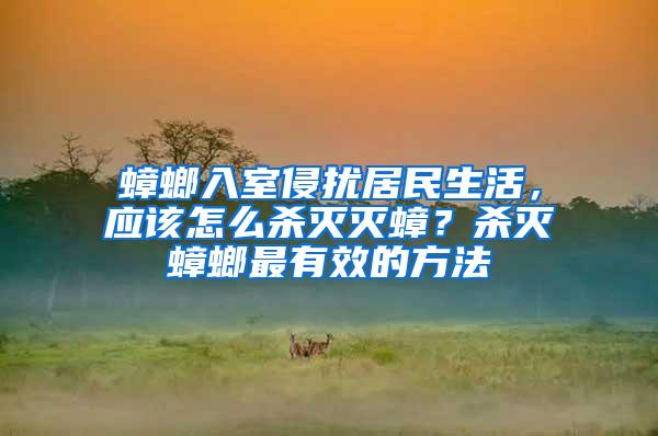 蟑螂入室侵擾居民生活，應該怎么殺滅滅蟑？殺滅蟑螂最有效的方法