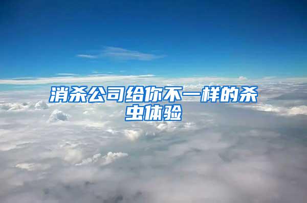 消殺公司給你不一樣的殺蟲體驗