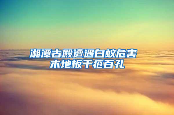 湘潭古殿遭遇白蟻危害 木地板千瘡百孔