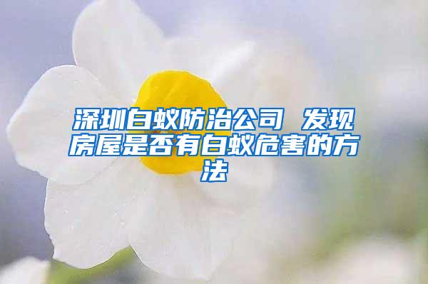 深圳白蟻防治公司 發現房屋是否有白蟻危害的方法