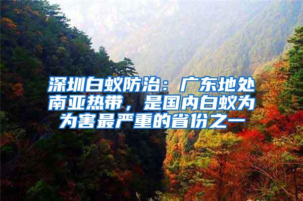 深圳白蟻防治：廣東地處南亞熱帶，是國內白蟻為為害最嚴重的省份之一