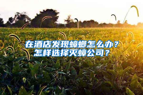 在酒店發現蟑螂怎么辦？怎樣選擇滅蟑公司？