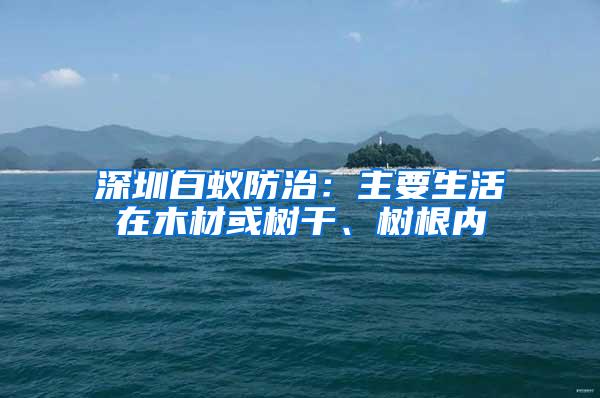 深圳白蟻防治：主要生活在木材或樹干、樹根內