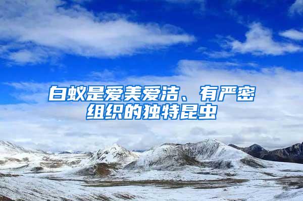 白蟻是愛(ài)美愛(ài)潔、有嚴(yán)密組織的獨(dú)特昆蟲(chóng)