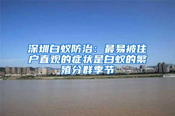 深圳白蟻防治：最易被住戶直觀的癥狀是白蟻的繁殖分群季節