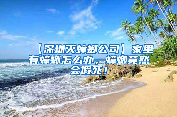 【深圳滅蟑螂公司】家里有蟑螂怎么辦，蟑螂竟然會(huì)假死！