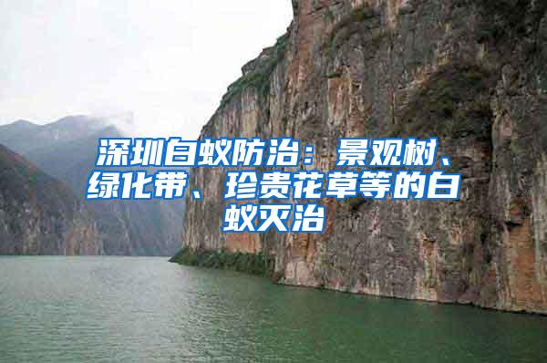 深圳白蟻防治：景觀樹、綠化帶、珍貴花草等的白蟻滅治