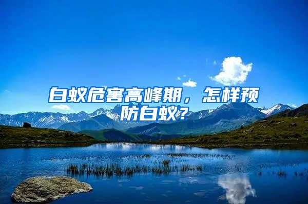 白蟻危害高峰期，怎樣預防白蟻？