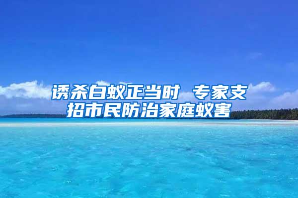 誘殺白蟻正當時 專家支招市民防治家庭蟻害