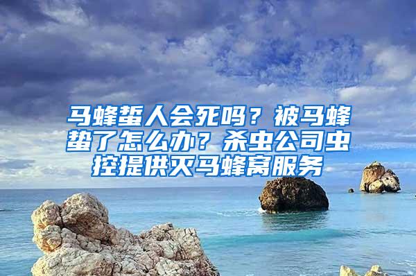 馬蜂蜇人會死嗎？被馬蜂蟄了怎么辦？殺蟲公司蟲控提供滅馬蜂窩服務