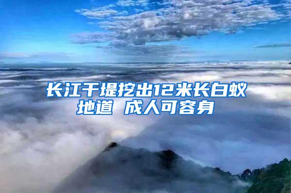 長江干堤挖出12米長白蟻地道 成人可容身