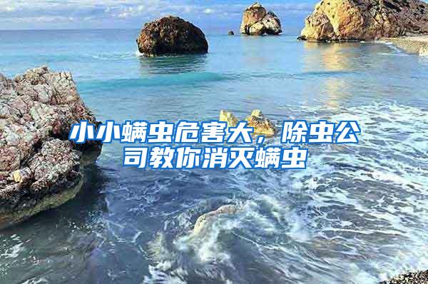 小小螨蟲危害大，除蟲公司教你消滅螨蟲