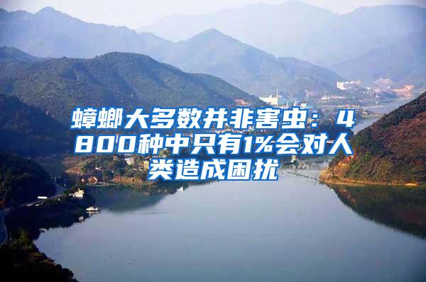 蟑螂大多數并非害蟲：4800種中只有1%會對人類造成困擾