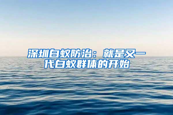 深圳白蟻防治：就是又一代白蟻群體的開始