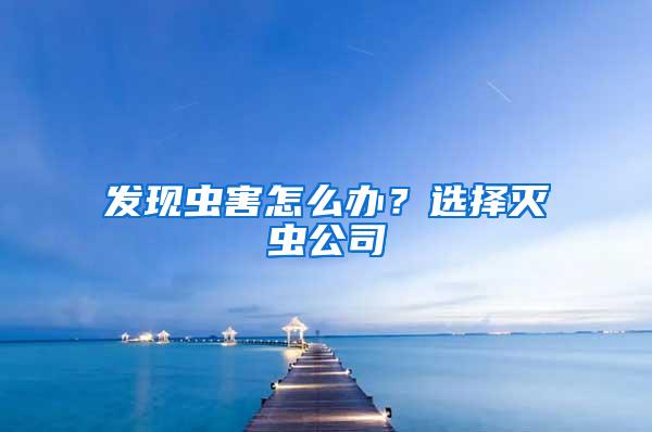 發現蟲害怎么辦？選擇滅蟲公司