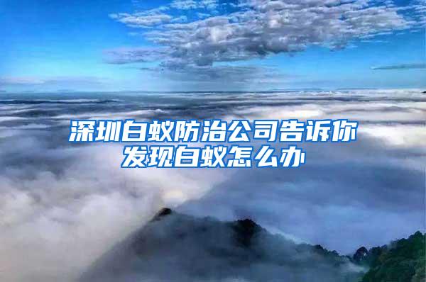 深圳白蟻防治公司告訴你發(fā)現(xiàn)白蟻怎么辦