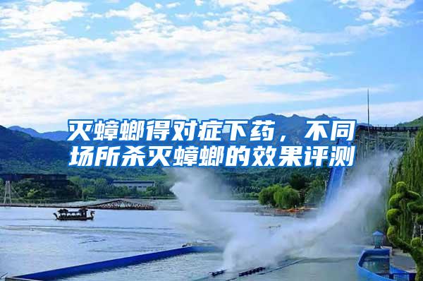 滅蟑螂得對癥下藥，不同場所殺滅蟑螂的效果評測