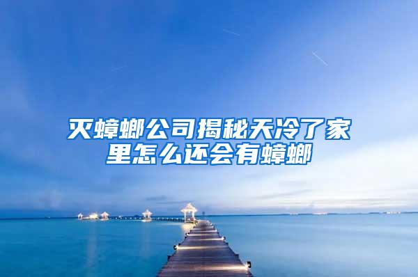 滅蟑螂公司揭秘天冷了家里怎么還會有蟑螂