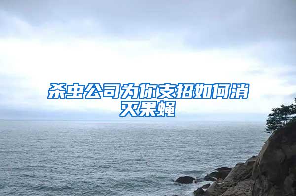 殺蟲公司為你支招如何消滅果蠅