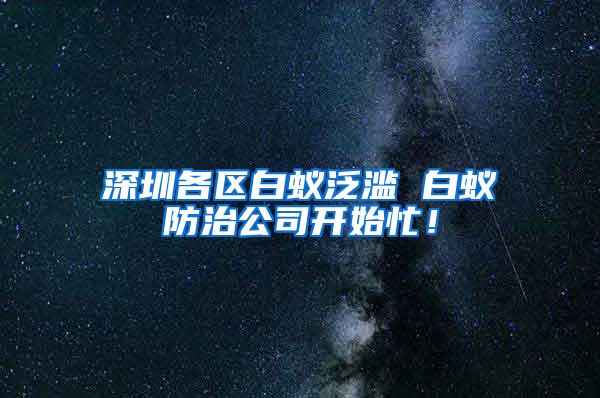 深圳各區白蟻泛濫 白蟻防治公司開始忙！