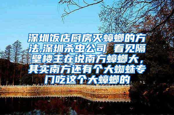 深圳飯店廚房滅蟑螂的方法,深圳殺蟲公司 看見隔壁樓主在說南方蟑螂大，其實南方還有個大蜘蛛專門吃這個大蟑螂的