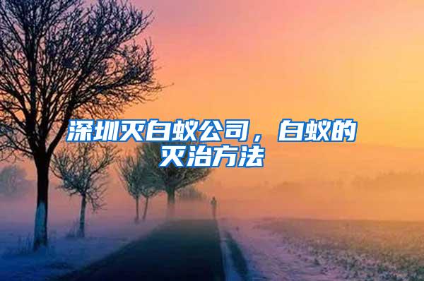 深圳滅白蟻公司，白蟻的滅治方法