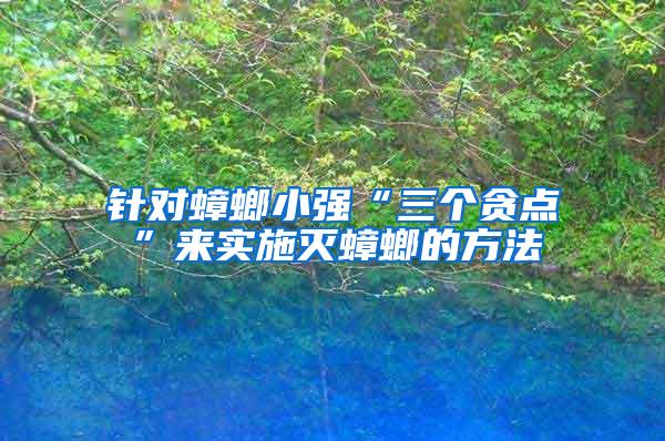 針對蟑螂小強“三個貪點”來實施滅蟑螂的方法