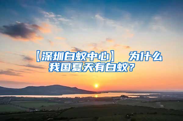 【深圳白蟻中心】 為什么我國夏天有白蟻？