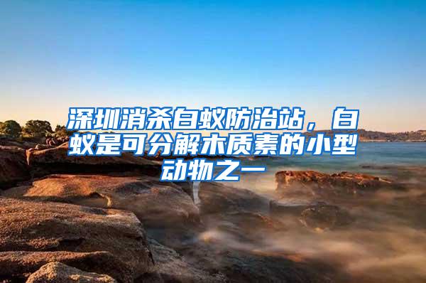 深圳消殺白蟻防治站，白蟻是可分解木質素的小型動物之一