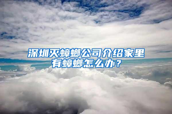 深圳滅蟑螂公司介紹家里有蟑螂怎么辦？