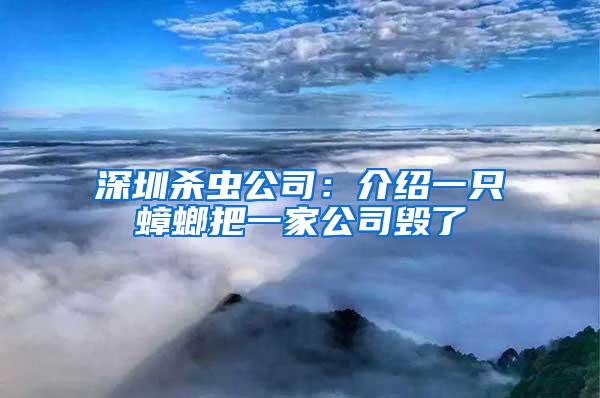 深圳殺蟲公司：介紹一只蟑螂把一家公司毀了